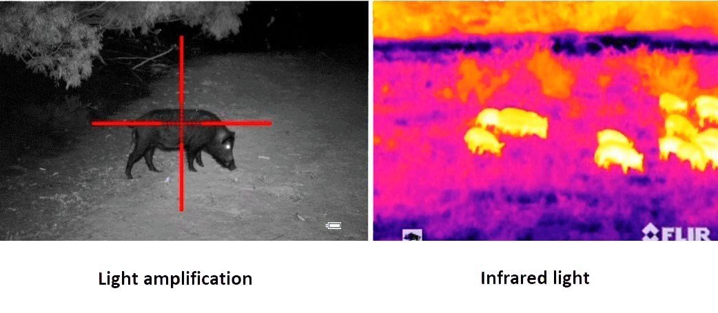 Infrared light vs Light amplification